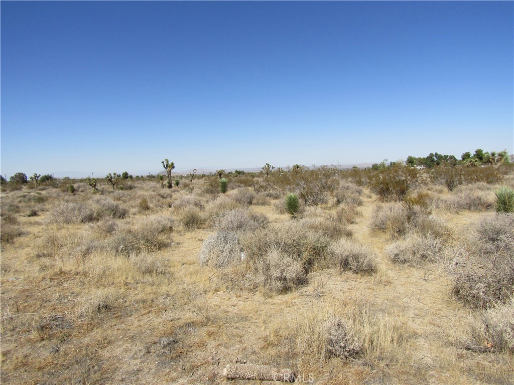 0 Madera Rd, Pinon Hills, CA 92372 0 Madera Rd, Pinon Hills, CA 92372