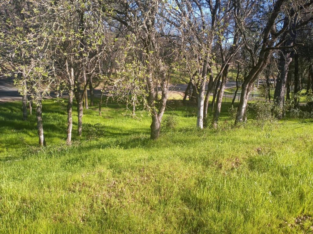 0 Brookdale Drive, Oroville, CA 95966