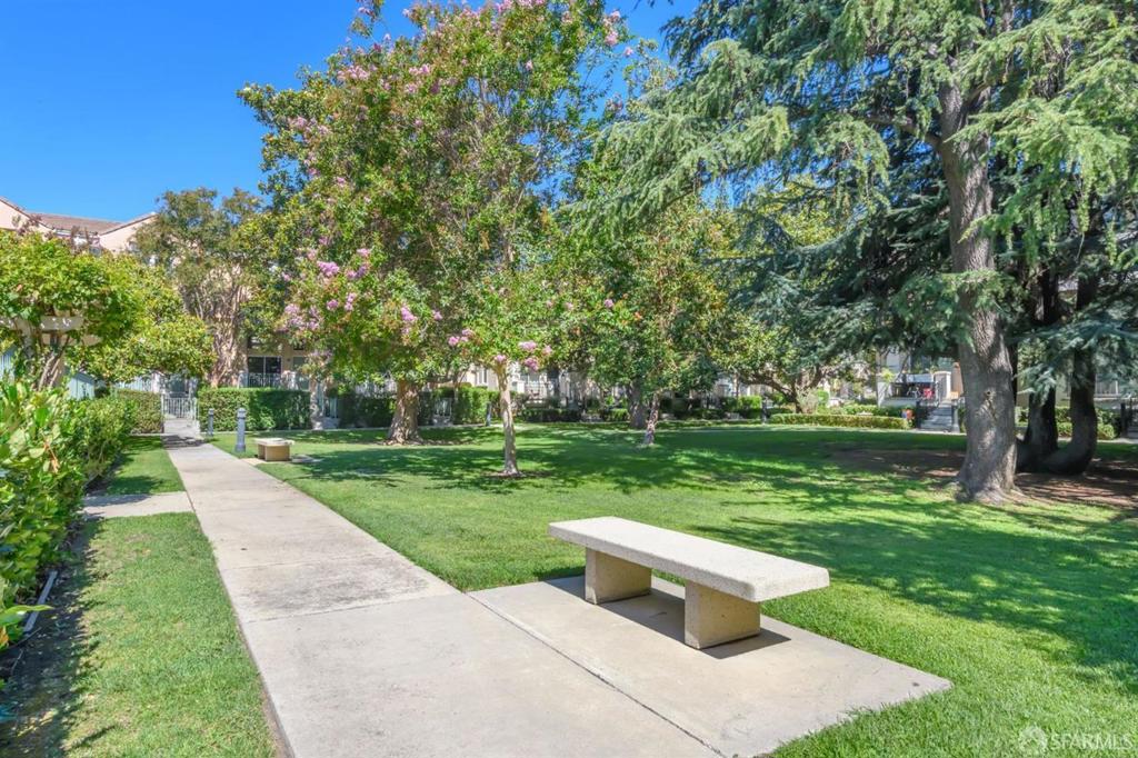 168 Campbell Drive, Mountain View, CA 94043 168 Campbell Drive, Mountain View, CA 94043