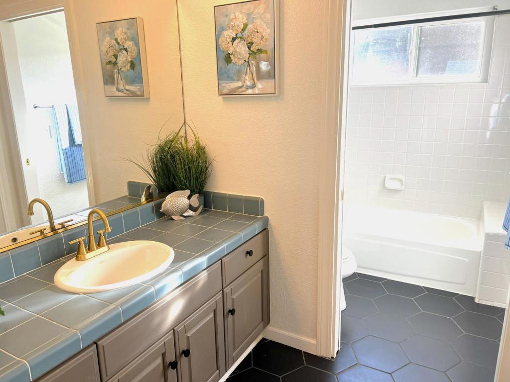 1163 Brace, San Jose, CA 95125