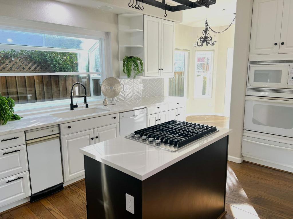 1163 Brace, San Jose, CA 95125