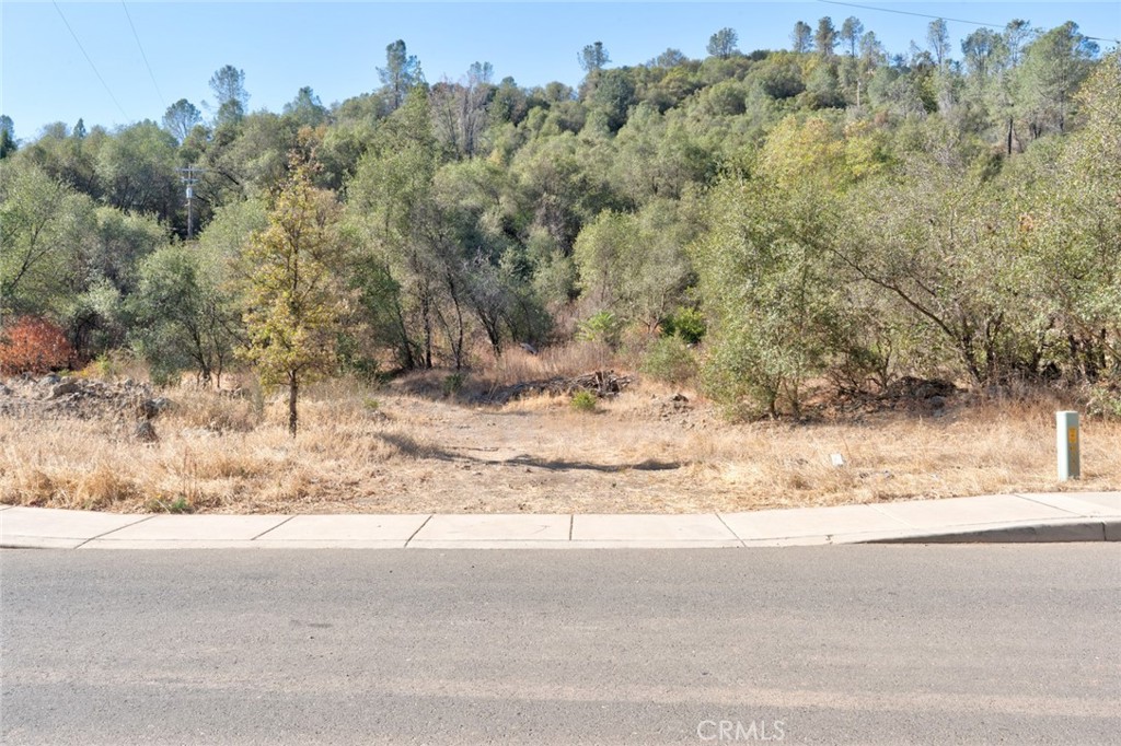5155 Antone Road, Mariposa, CA 95338 5155 Antone Road, Mariposa, CA 95338