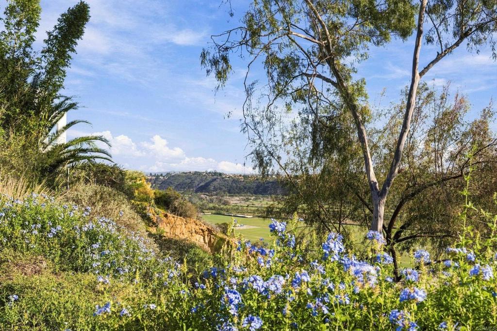 4616 Rancho Reposo, Del Mar, CA 92014