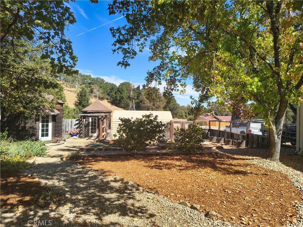 Back yard