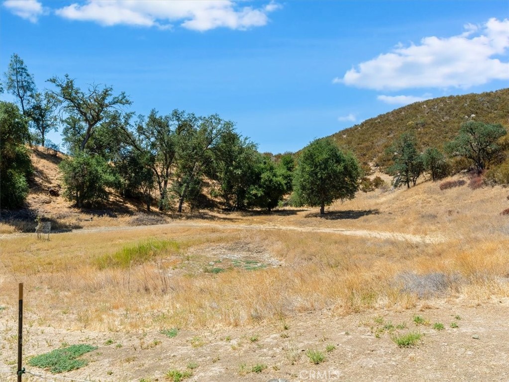 The pond area in the summer.