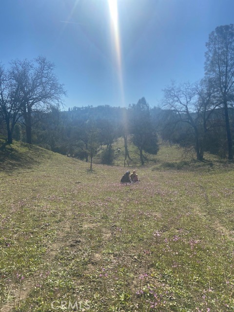 1575 Parkhill Road, Santa Margarita, CA 93453