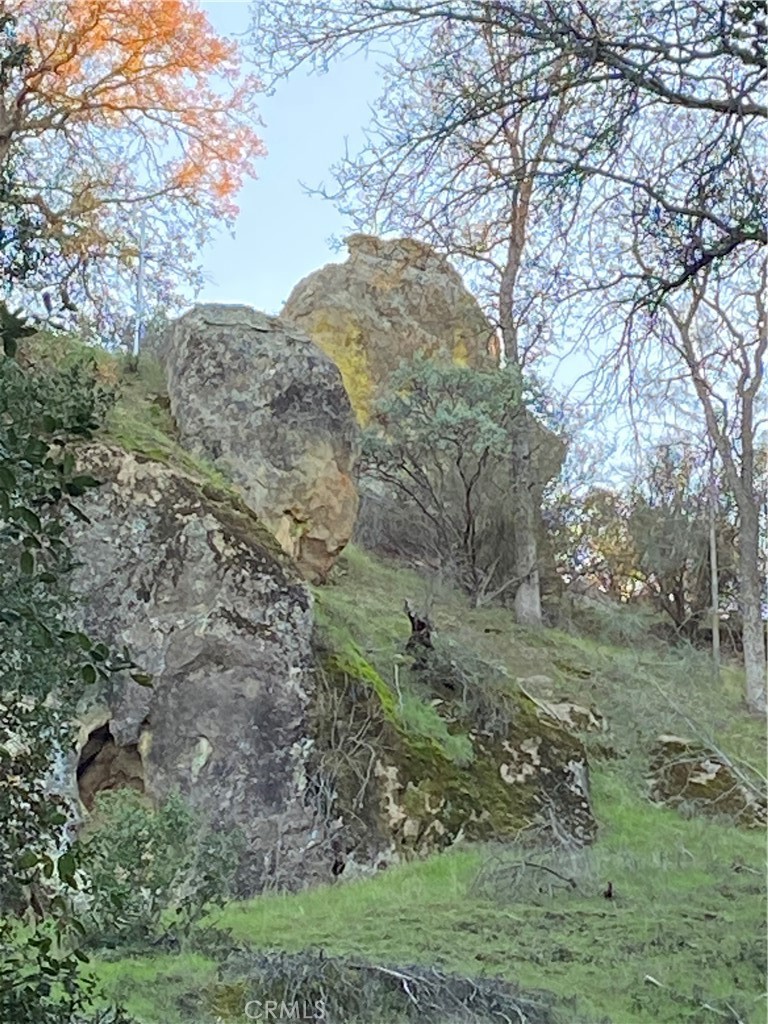 1575 Parkhill Road, Santa Margarita, CA 93453