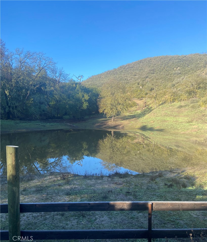 The pond is seasonal, there are a lot of mallards, and I put fish in.
