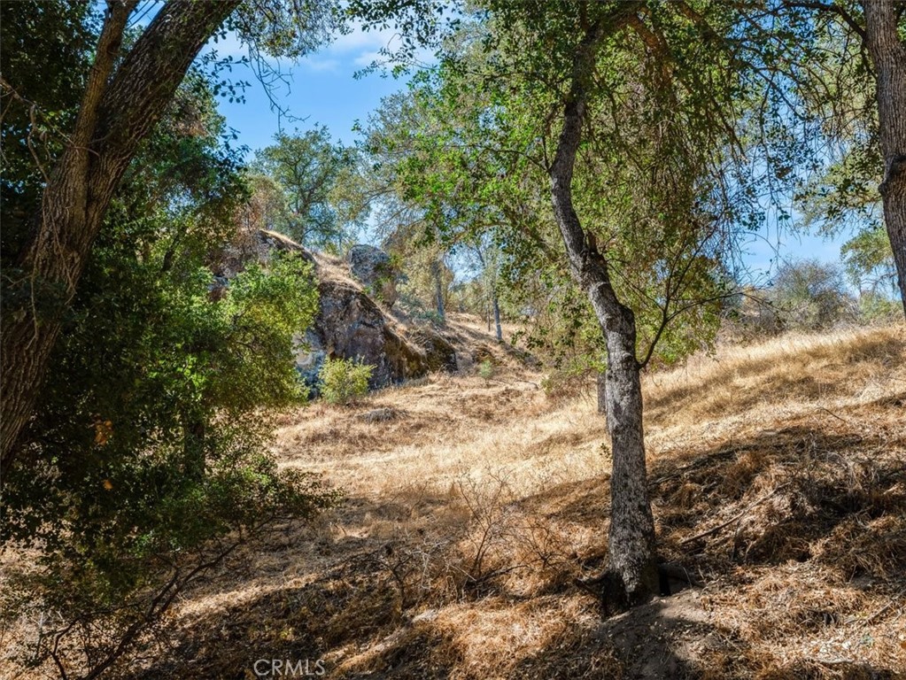 1575 Parkhill Road, Santa Margarita, CA 93453
