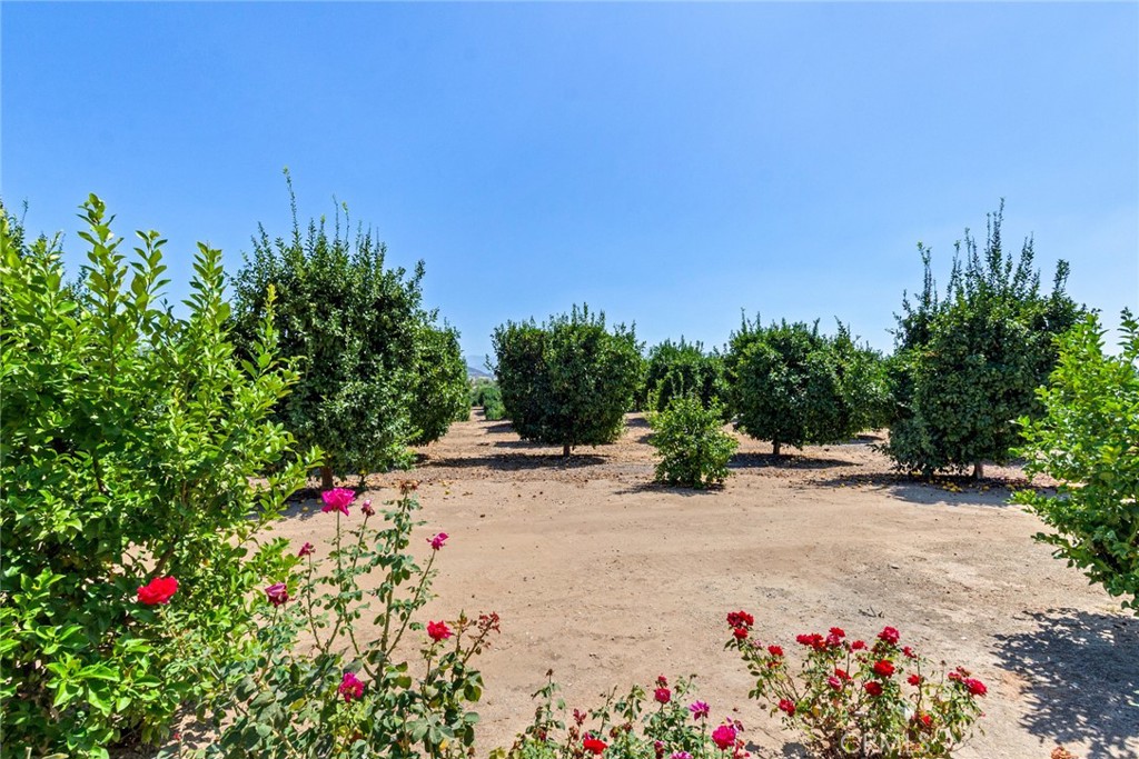 36733 Glenoaks, Temecula, CA 92592