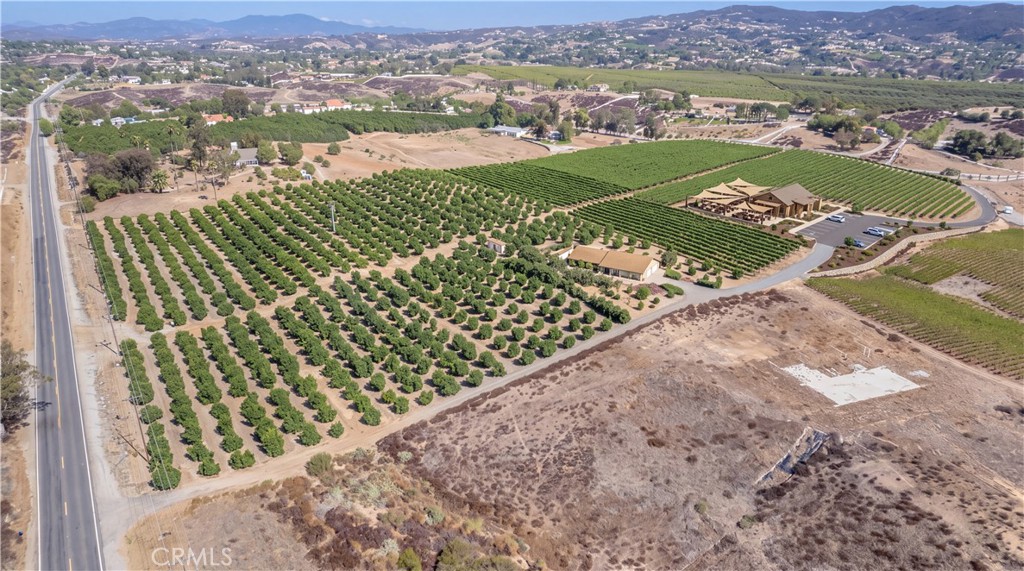 Conceptual:From Grove to Vineyard
From Property to Destination