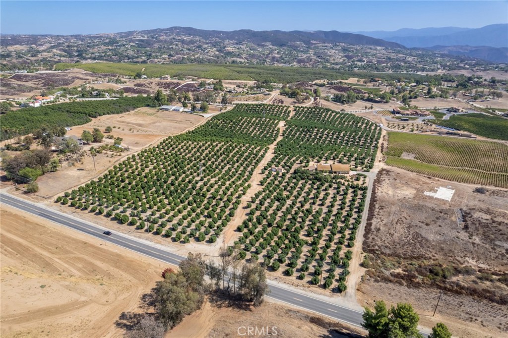 Existing 23 + Acre Agricultural Grove Plus Estate Resident & and separate Guest Quarter & Storage- Potential Assemblage with Existing B&B in the Back & Adjacent 11 Acre lot with Unfinished Wine Tasting Terrace with 5 Acres of Vineyard