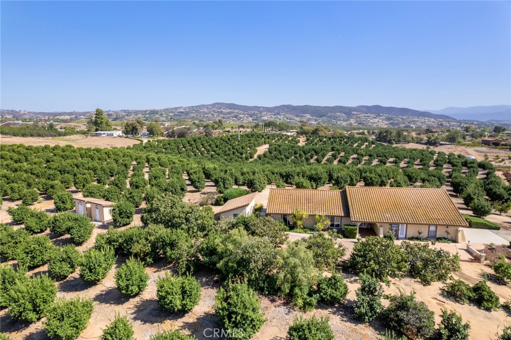 The Existing Estate with 23 plus acres of income producing lemon grove!