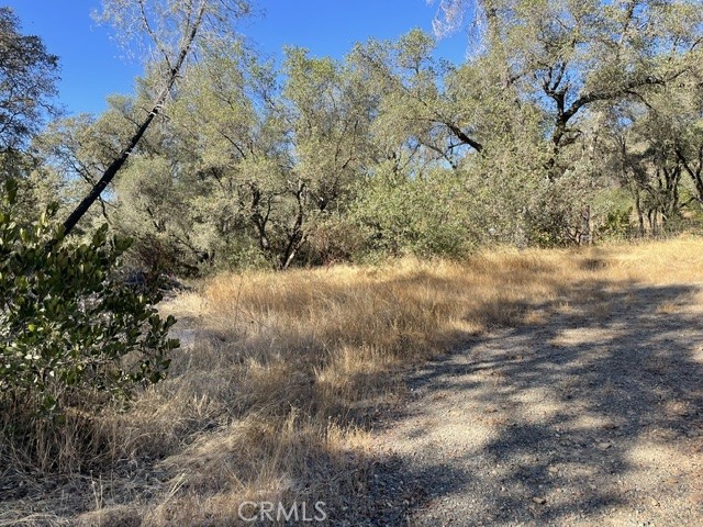 0 Hurleton Swedes Flat Road, Oroville, CA 95966 0 Hurleton Swedes Flat Road, Oroville, CA 95966