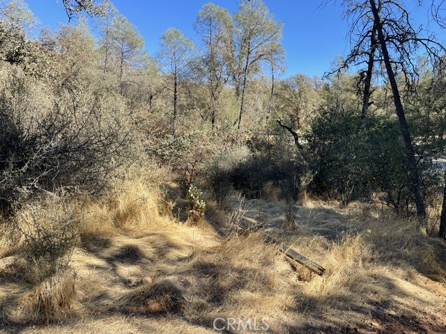 0 Hurleton Swedes Flat Road, Oroville, CA 95966 0 Hurleton Swedes Flat Road, Oroville, CA 95966