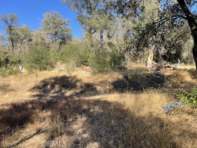 0 Hurleton Swedes Flat Road, Oroville, CA 95966 0 Hurleton Swedes Flat Road, Oroville, CA 95966