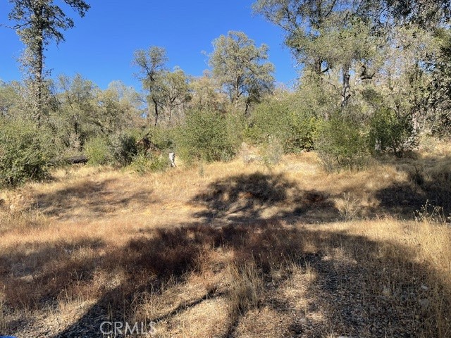 0 Hurleton Swedes Flat Road, Oroville, CA 95966