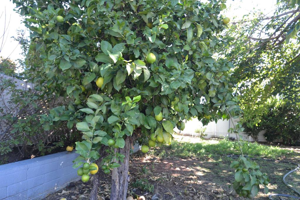 10343 Woodwayne Drive, Santee, CA 92071