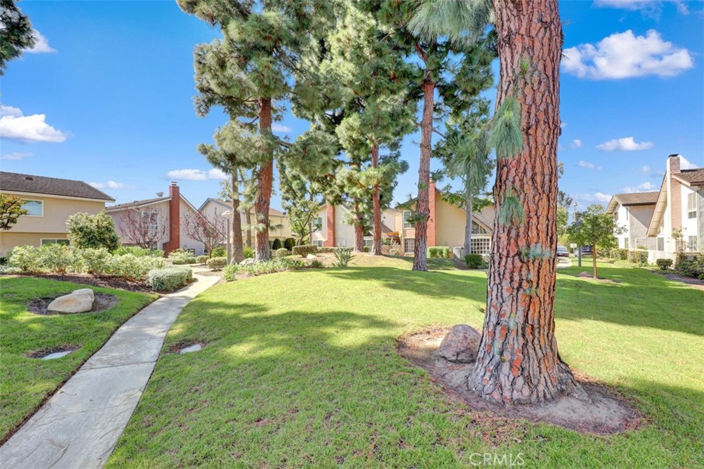 Green space behind the house.