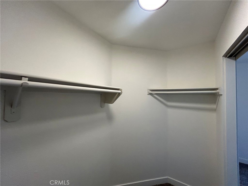 Primary Suite - Walk-in Closet