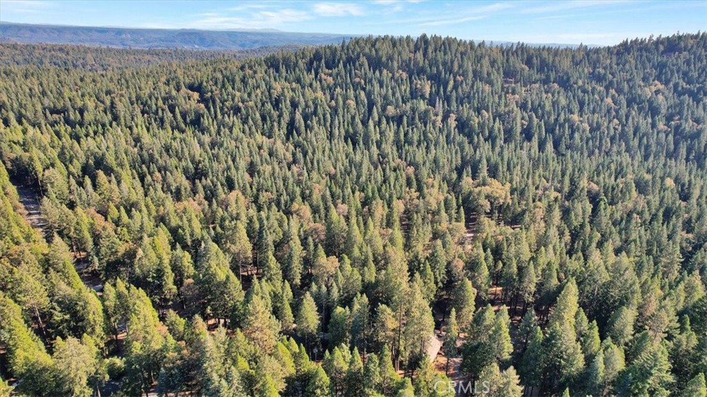 13411 Red Dog Rd., Nevada City, CA 95959