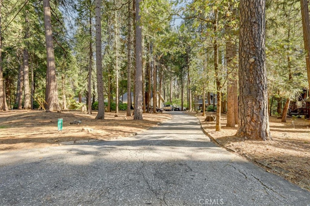 13411 Red Dog Rd., Nevada City, CA 95959