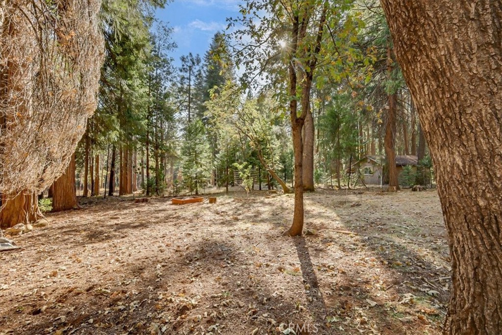 13411 Red Dog Rd., Nevada City, CA 95959