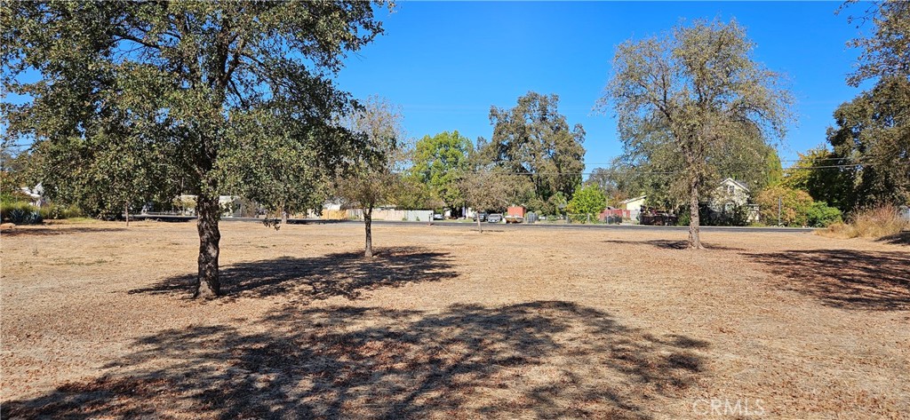 2363 Palermo, Palermo, CA 95968