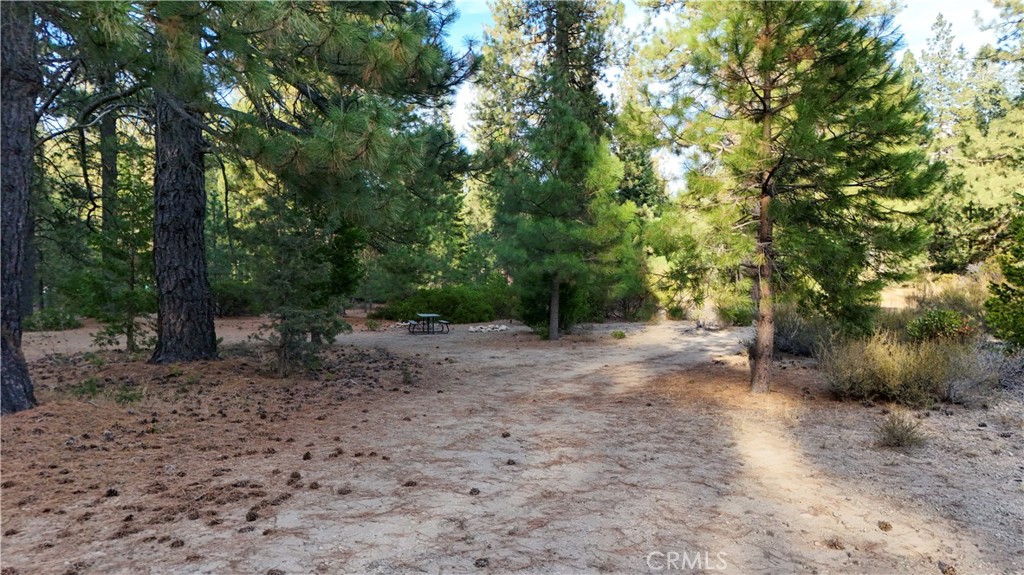0 Shasta Cove, Weed, CA 96094 0 Shasta Cove, Weed, CA 96094