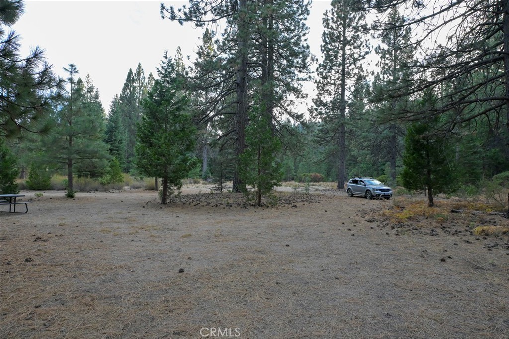 0 Shasta Cove, Weed, CA 96094