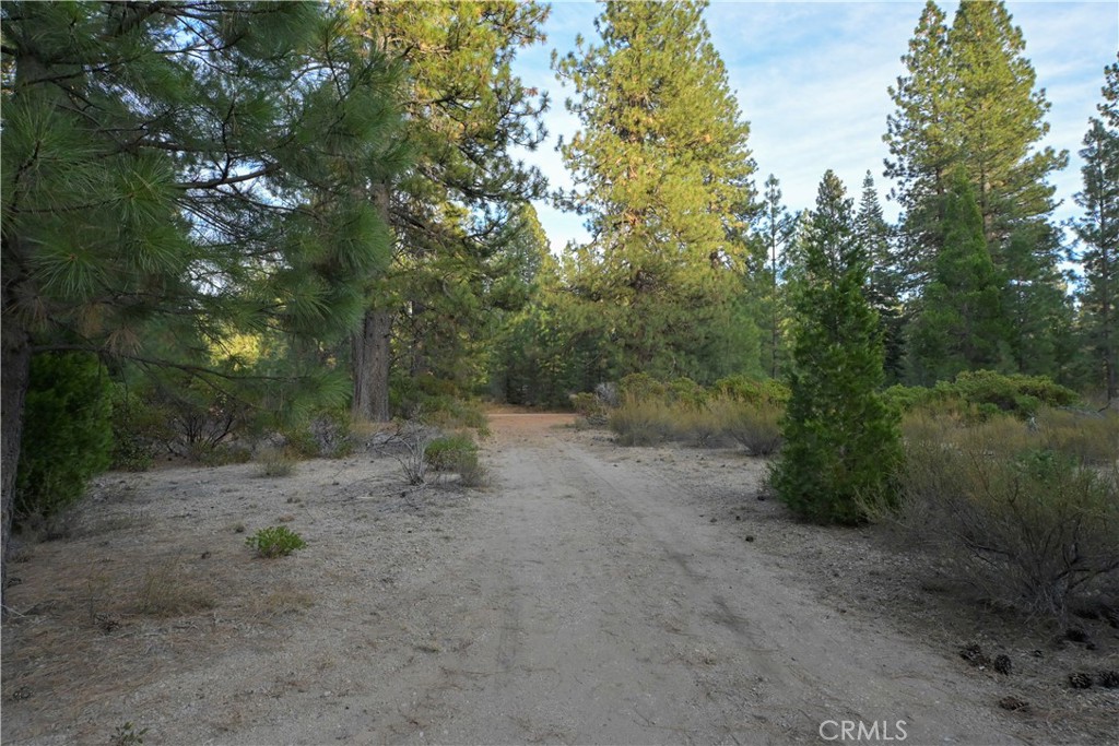 0 Shasta Cove, Weed, CA 96094 0 Shasta Cove, Weed, CA 96094