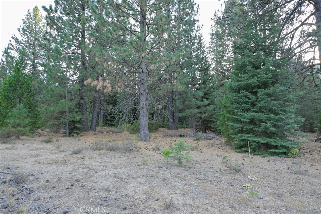 0 Shasta Cove, Weed, CA 96094