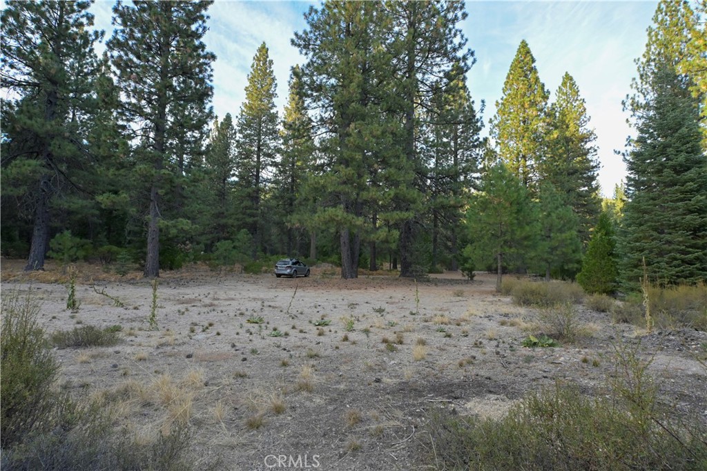 0 Shasta Cove, Weed, CA 96094