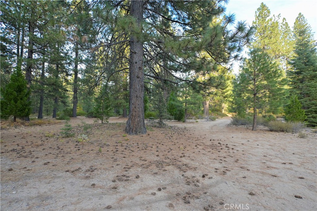 0 Shasta Cove, Weed, CA 96094 0 Shasta Cove, Weed, CA 96094