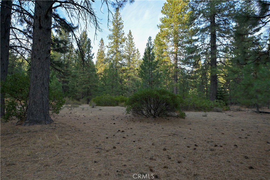 0 Shasta Cove, Weed, CA 96094