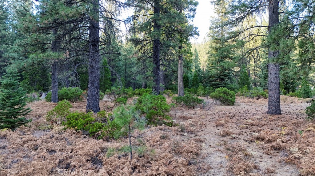0 Shasta Cove, Weed, CA 96094