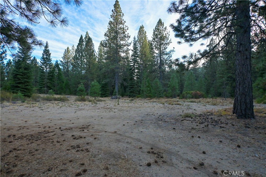 0 Shasta Cove, Weed, CA 96094 0 Shasta Cove, Weed, CA 96094