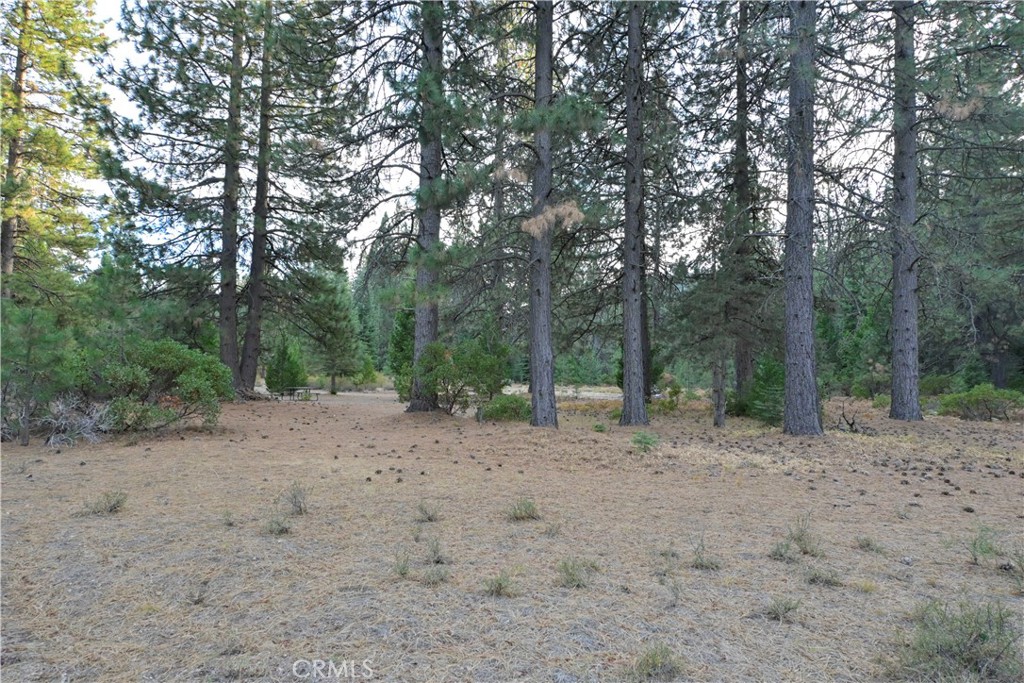 0 Shasta Cove, Weed, CA 96094