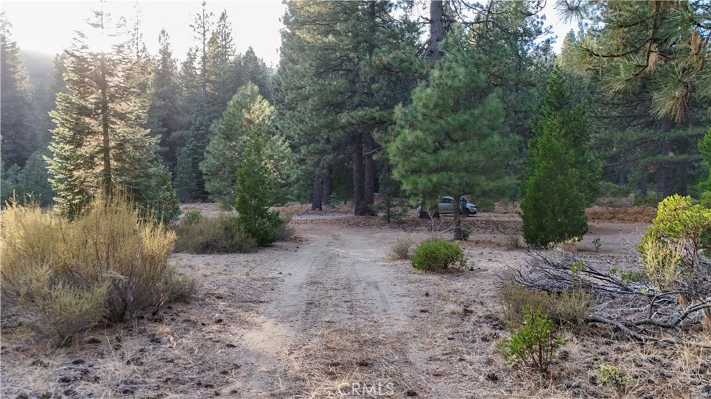 0 Shasta Cove, Weed, CA 96094