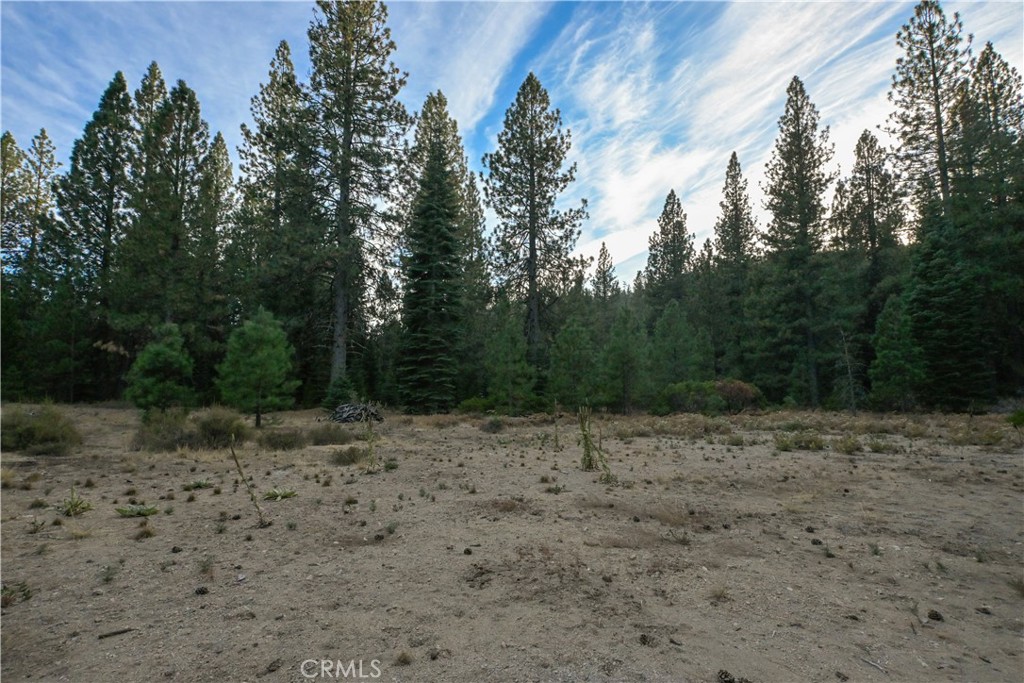 0 Shasta Cove, Weed, CA 96094 0 Shasta Cove, Weed, CA 96094