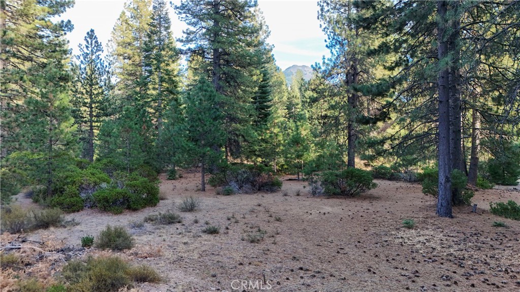 0 Shasta Cove, Weed, CA 96094