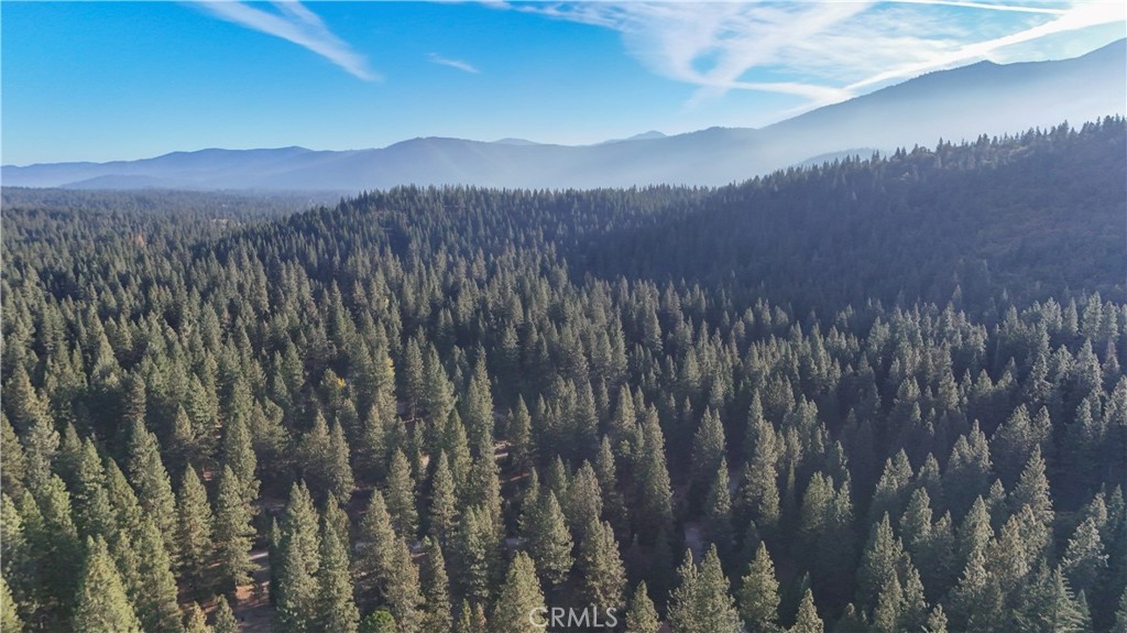 0 Shasta Cove, Weed, CA 96094