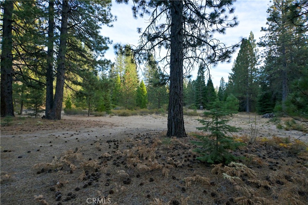 0 Shasta Cove, Weed, CA 96094