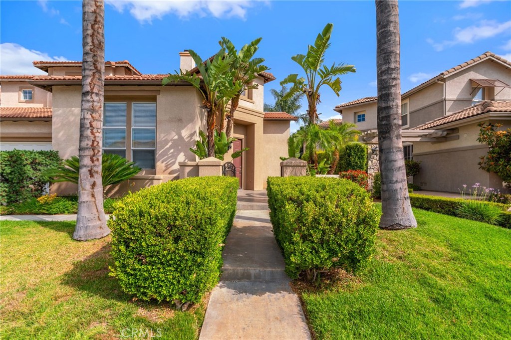 Welcoming Front Walkway Surrounded By Beautifully Maintained Hedges, Tropical Landscaping, And Mature Palm Trees.