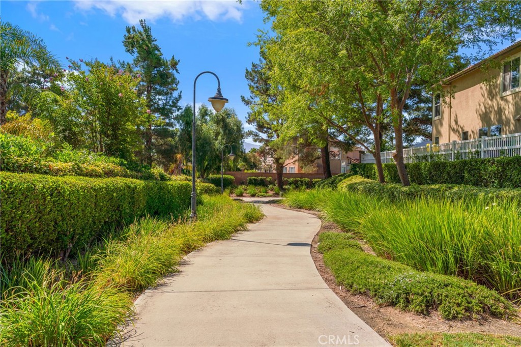 Scenic Paseo Del Sol Community Walking Trails Winding Through Beautifully Maintained Greenbelts, Mature Trees, And Lush Landscaping.