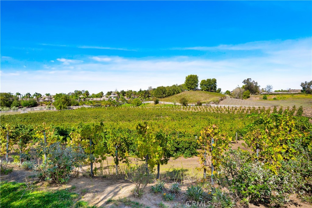 41945 Calle Contento, Temecula, CA 92592