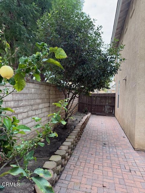 Side yard