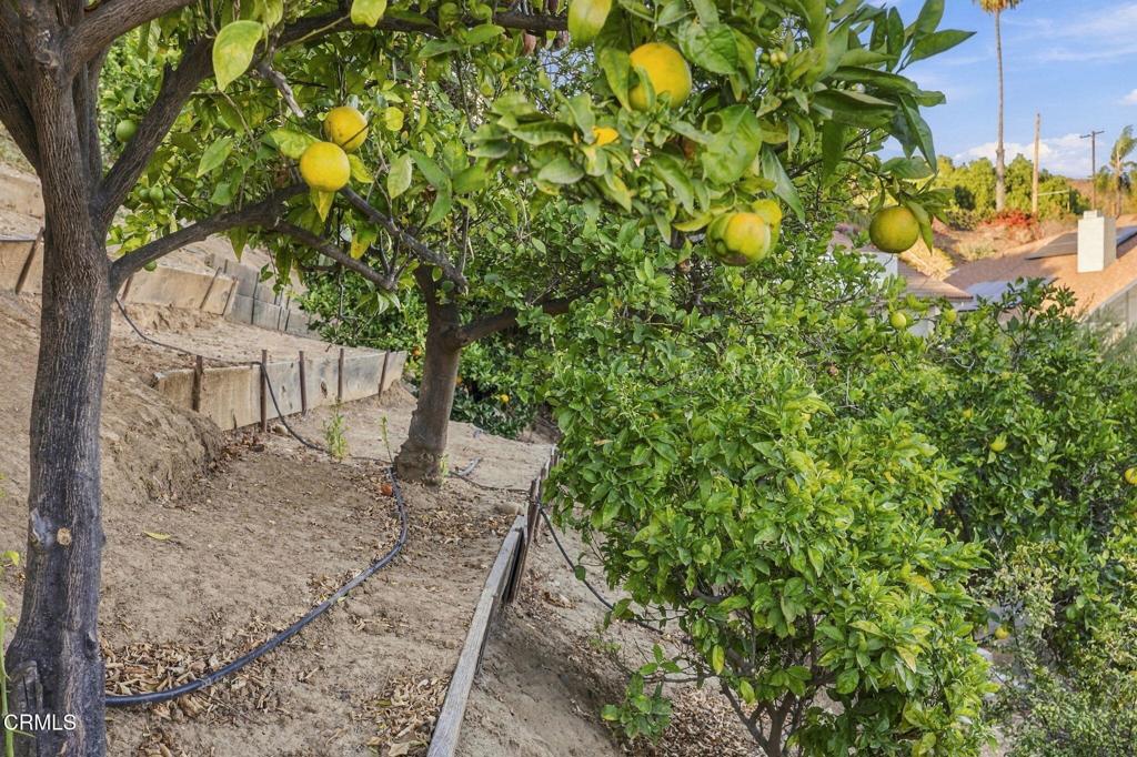 88-web-or-mls-379_McGill_Ave_Ventura_CA_