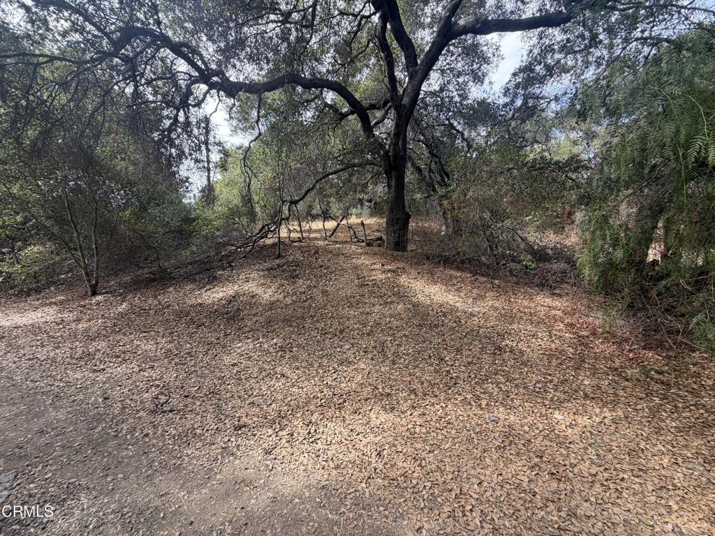 7,840 sq ft. lot 2