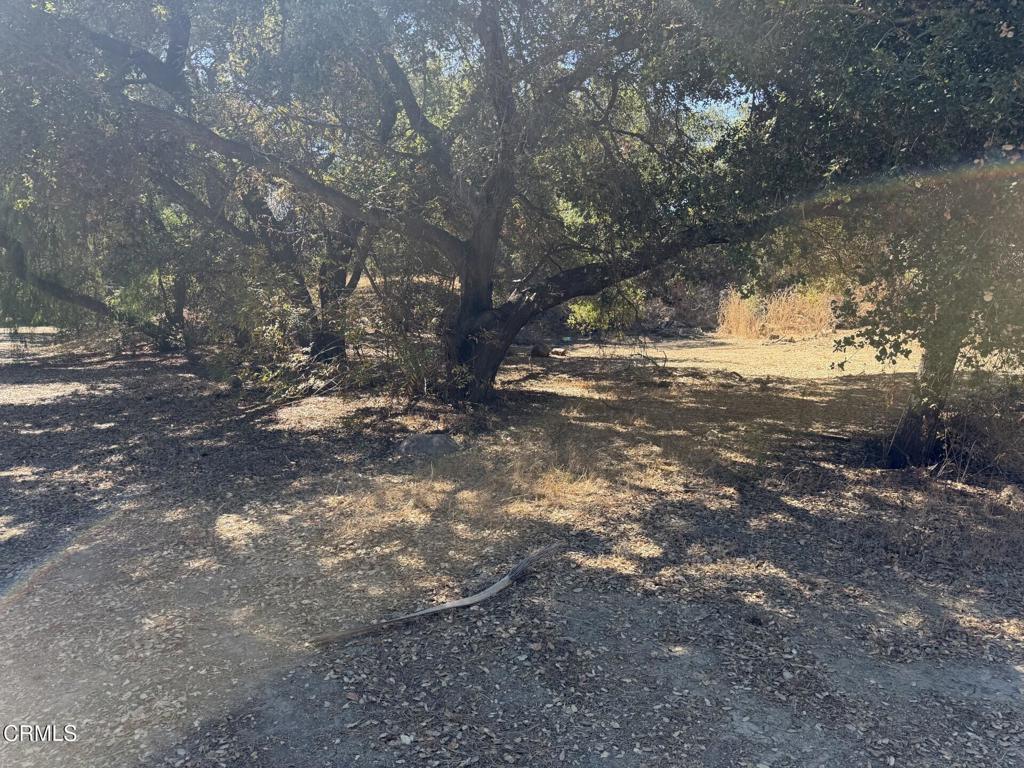 7,840 Lot Picture